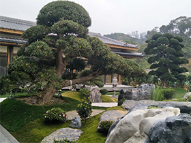 禪意-園林景觀工程