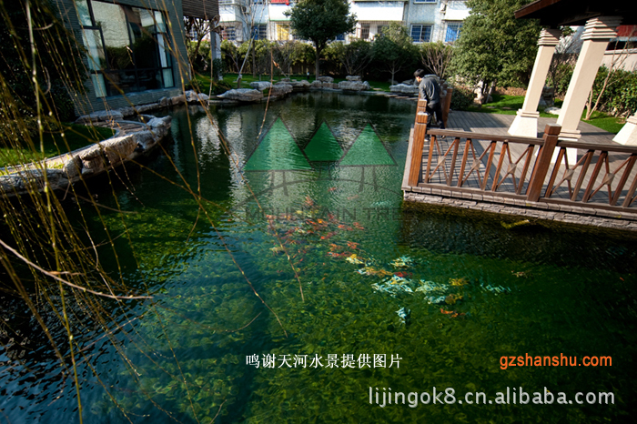 園林景觀綠化花園水池錦鯉魚池景觀水設(shè)計(jì) 工廠人工湖工程設(shè).